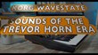 Maik Schott's Sounds of the Trevor Horn Era Soundset for Wavestate